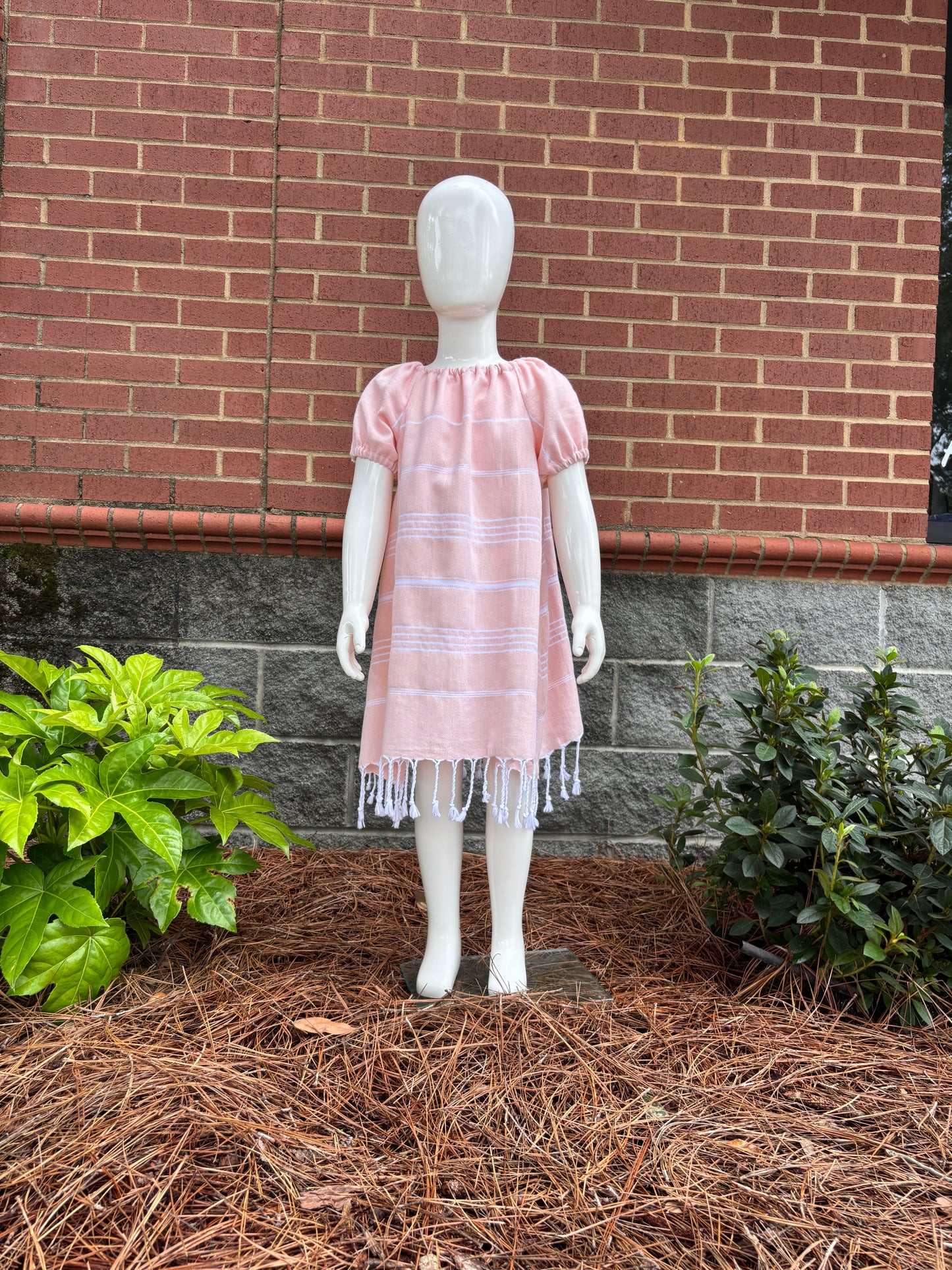 Carolina Dress