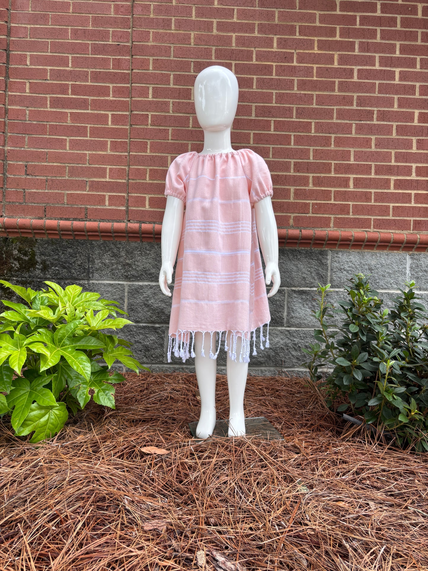Carolina Dress