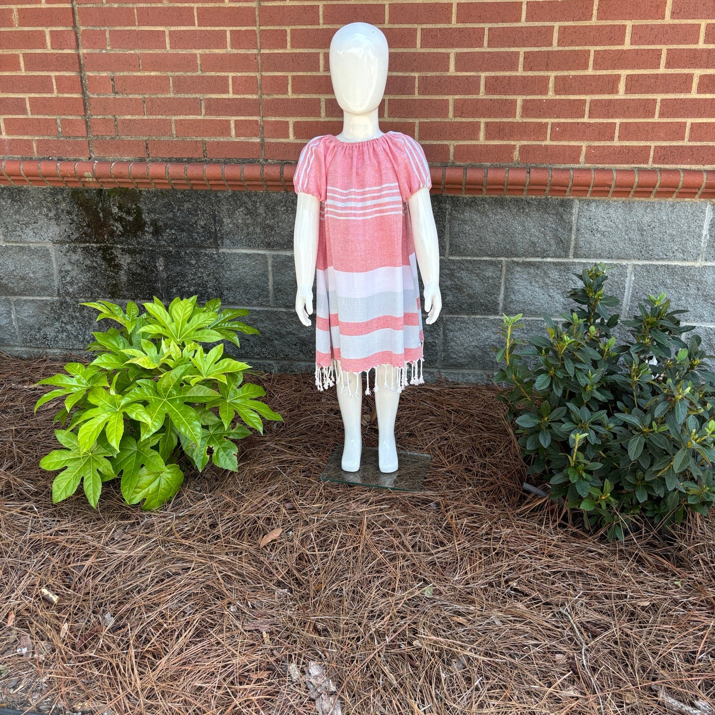 Carolina Dress