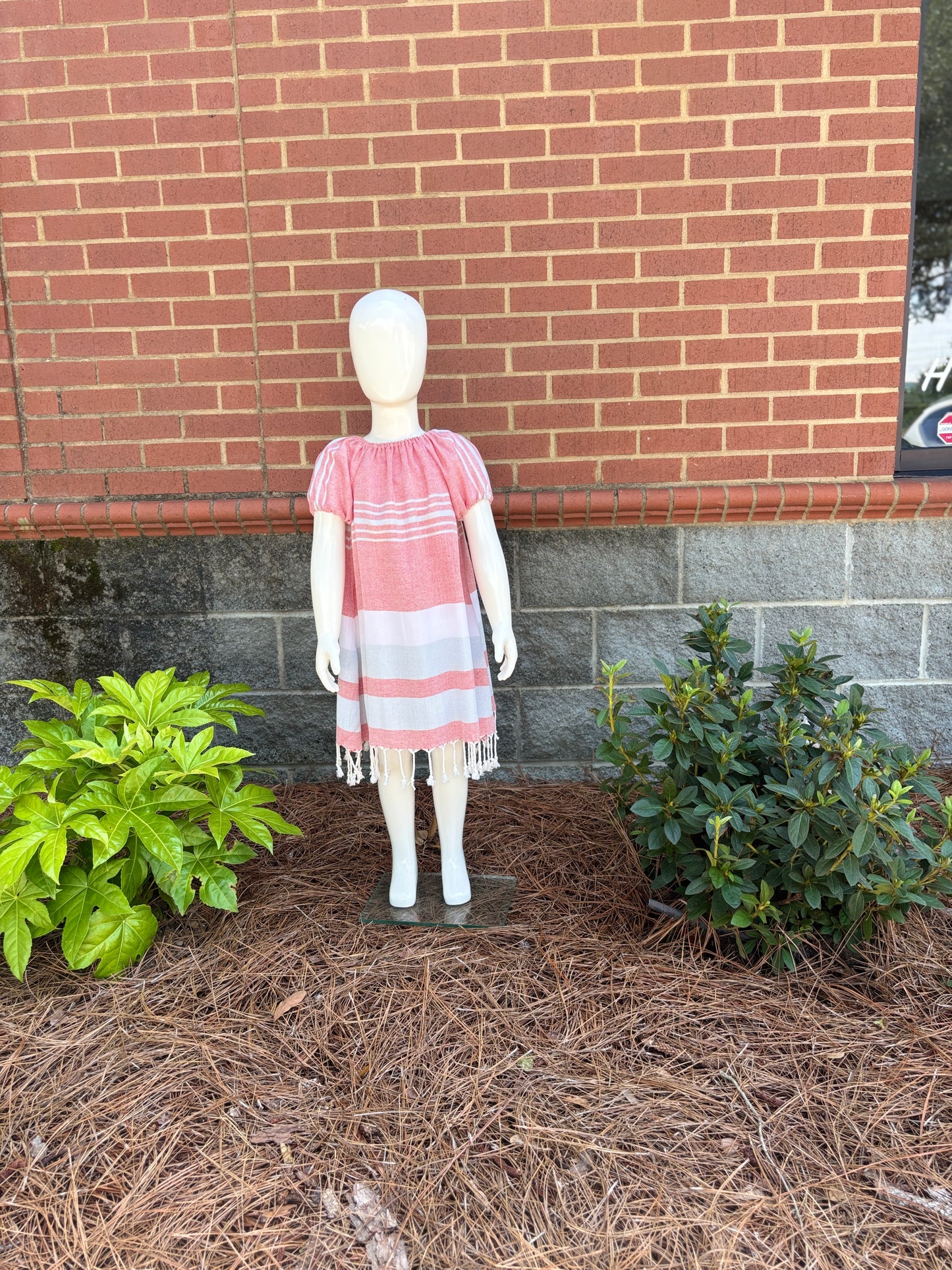 Carolina Dress