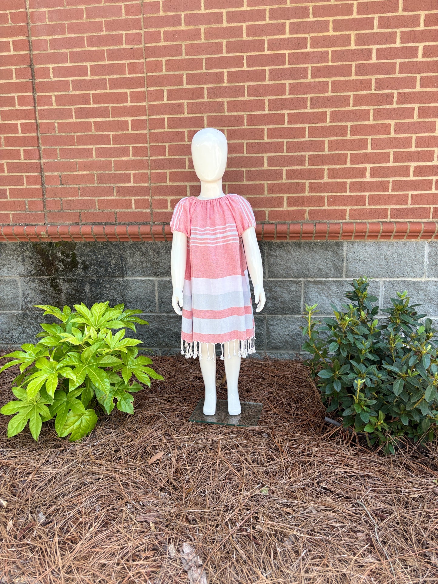 Carolina Dress
