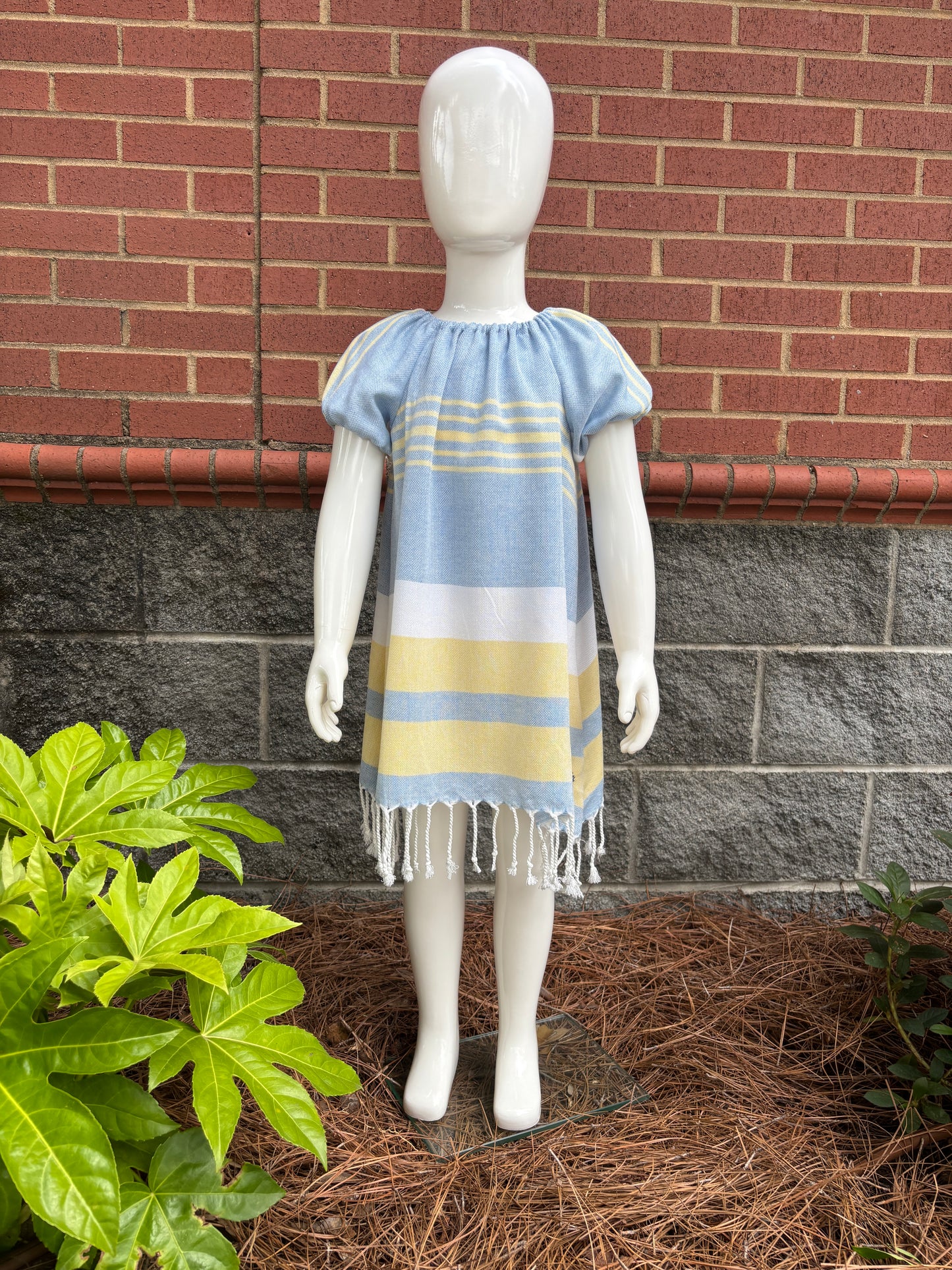 Carolina Dress