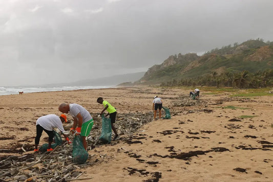 Sun, Sand, & Sustainability: Eco-Friendly Beach Trips the Beachables Way Beachables