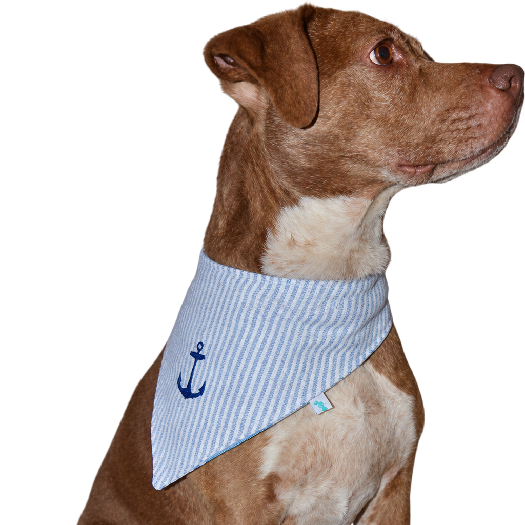 Dog Bandana - Reversible
