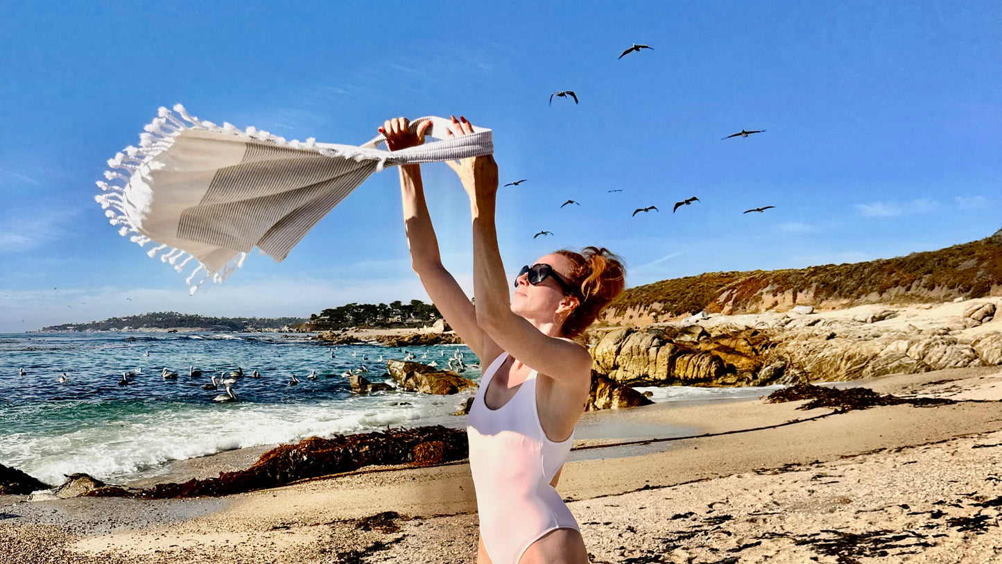 Beachable 3 in 1 Signature Solid Beach Bag