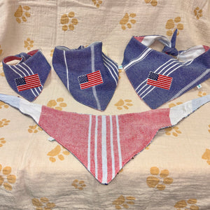 Americana with Flag