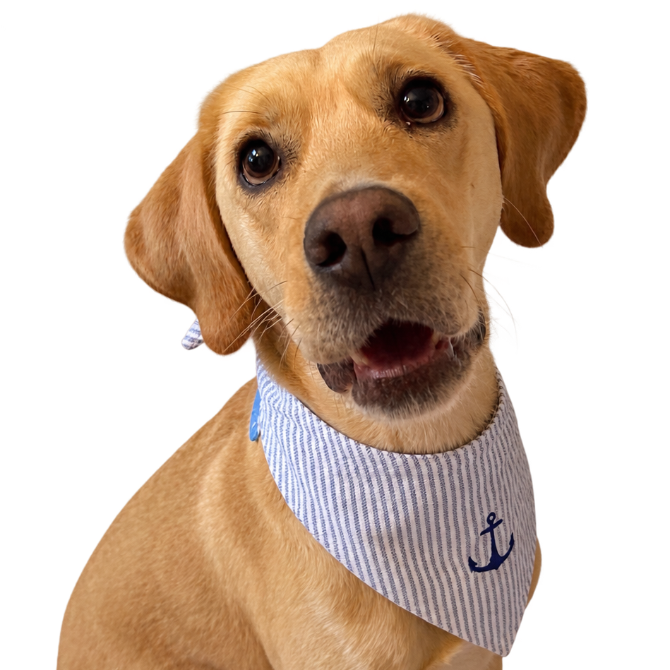 Dog Bandana - Reversible