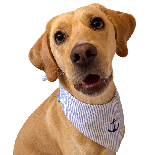 Dog Bandana - Reversible