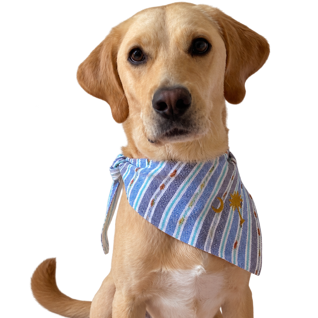 A yellow Labrador Retriever wearing a blue and white striped bandana with small yellow dog illustrations, shown against a solid white background.