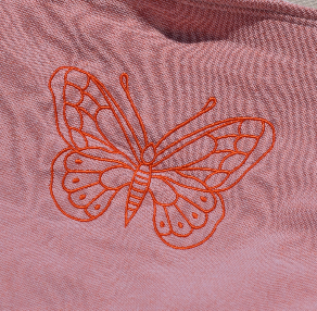 Butterfly on Coral