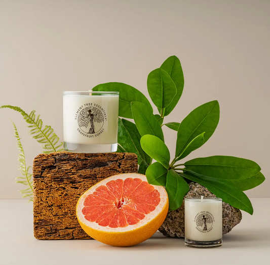 Grapefruit Sorbet Lotion Candle